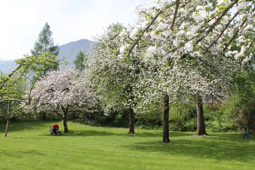 Hotel Hochsteg Guetl | Traunsee Salzkammergut Ebensee Oda fotoğraf